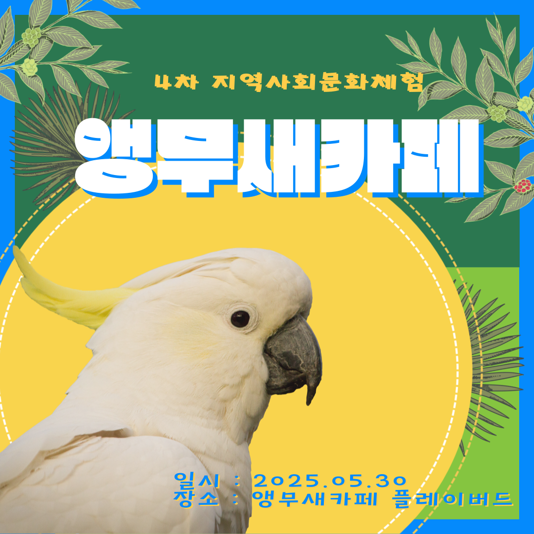 4 ȸȭü