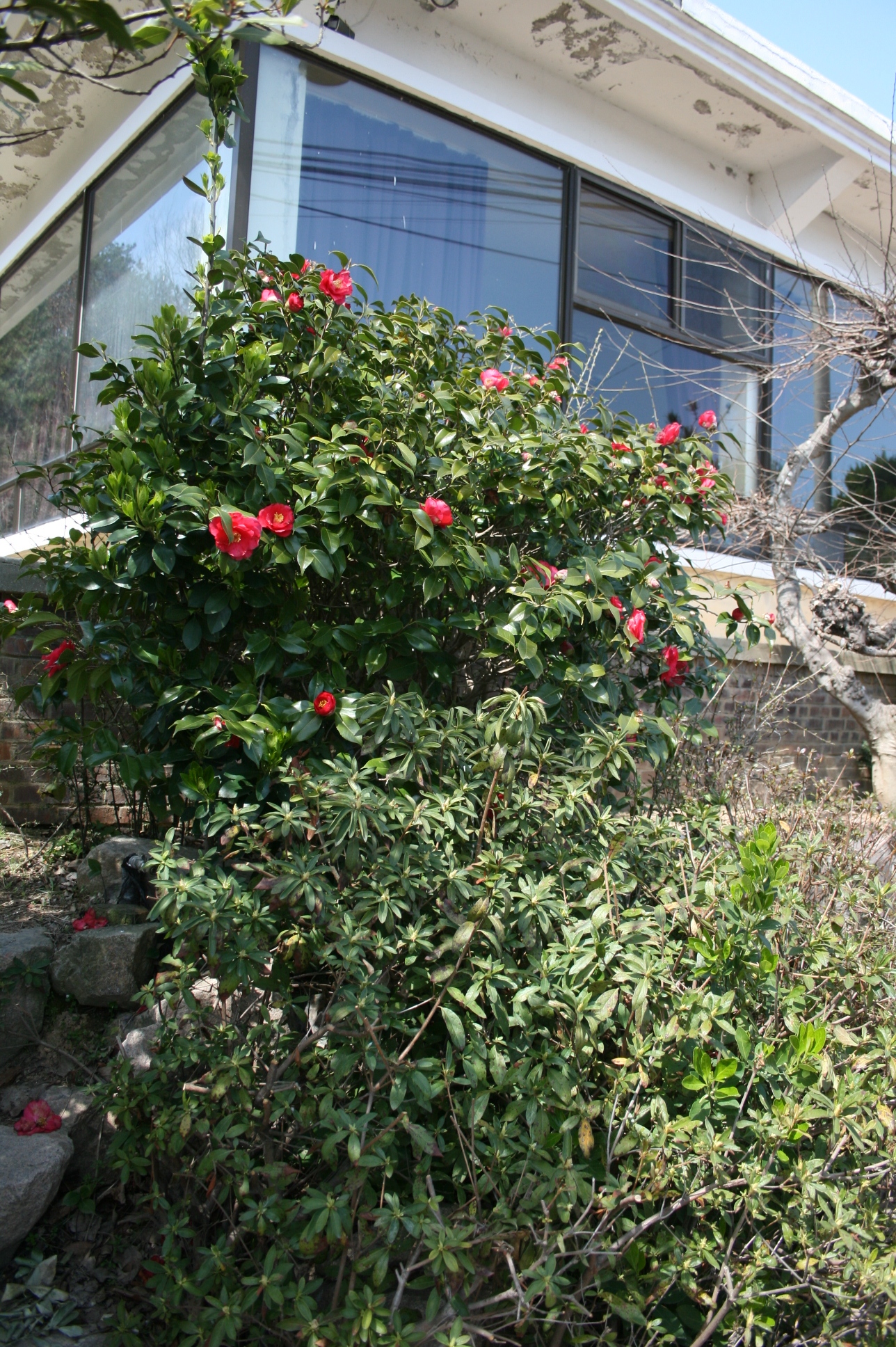 ȭܿ ִ 鳪..